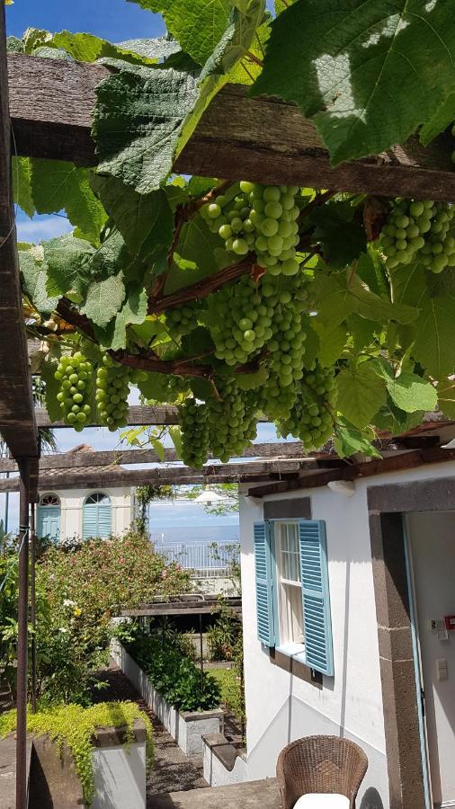 Casa Da Madalena Do Marヴィラ エクステリア 写真