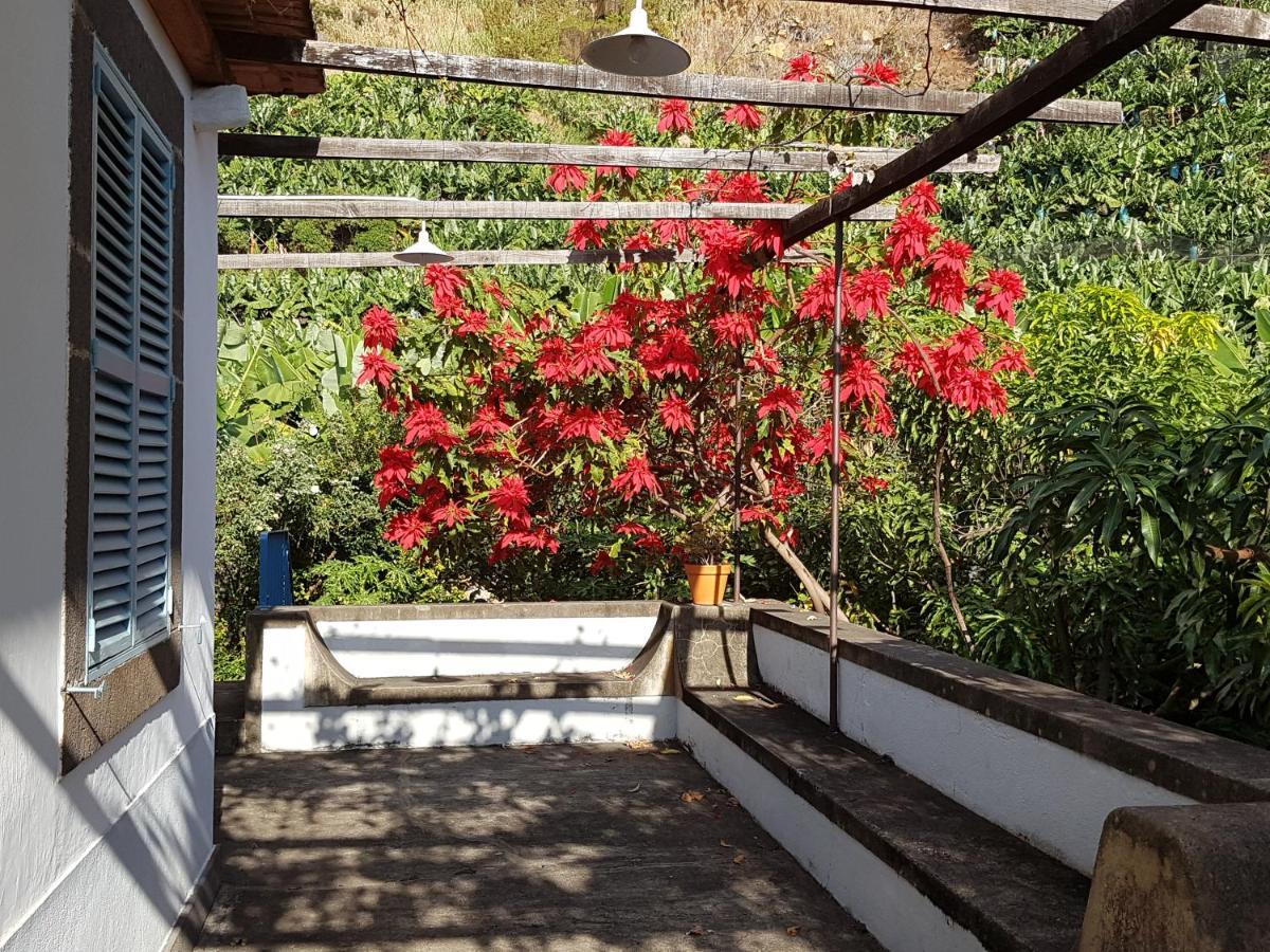 Casa Da Madalena Do Marヴィラ エクステリア 写真