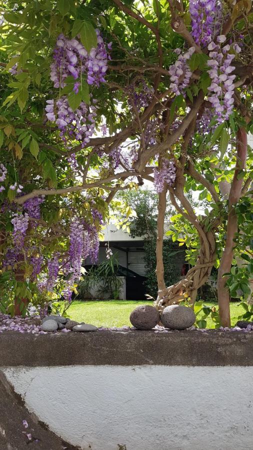 Casa Da Madalena Do Marヴィラ エクステリア 写真