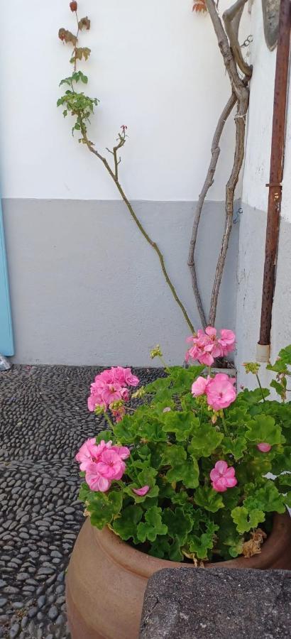 Casa Da Madalena Do Marヴィラ エクステリア 写真